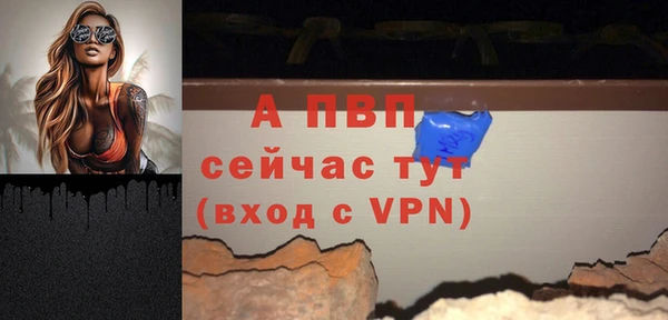 прущая мука Вяземский